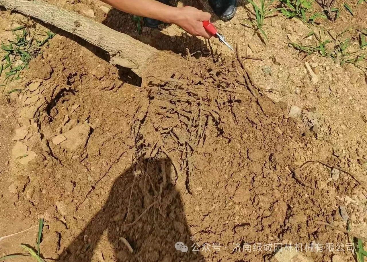 DƬ